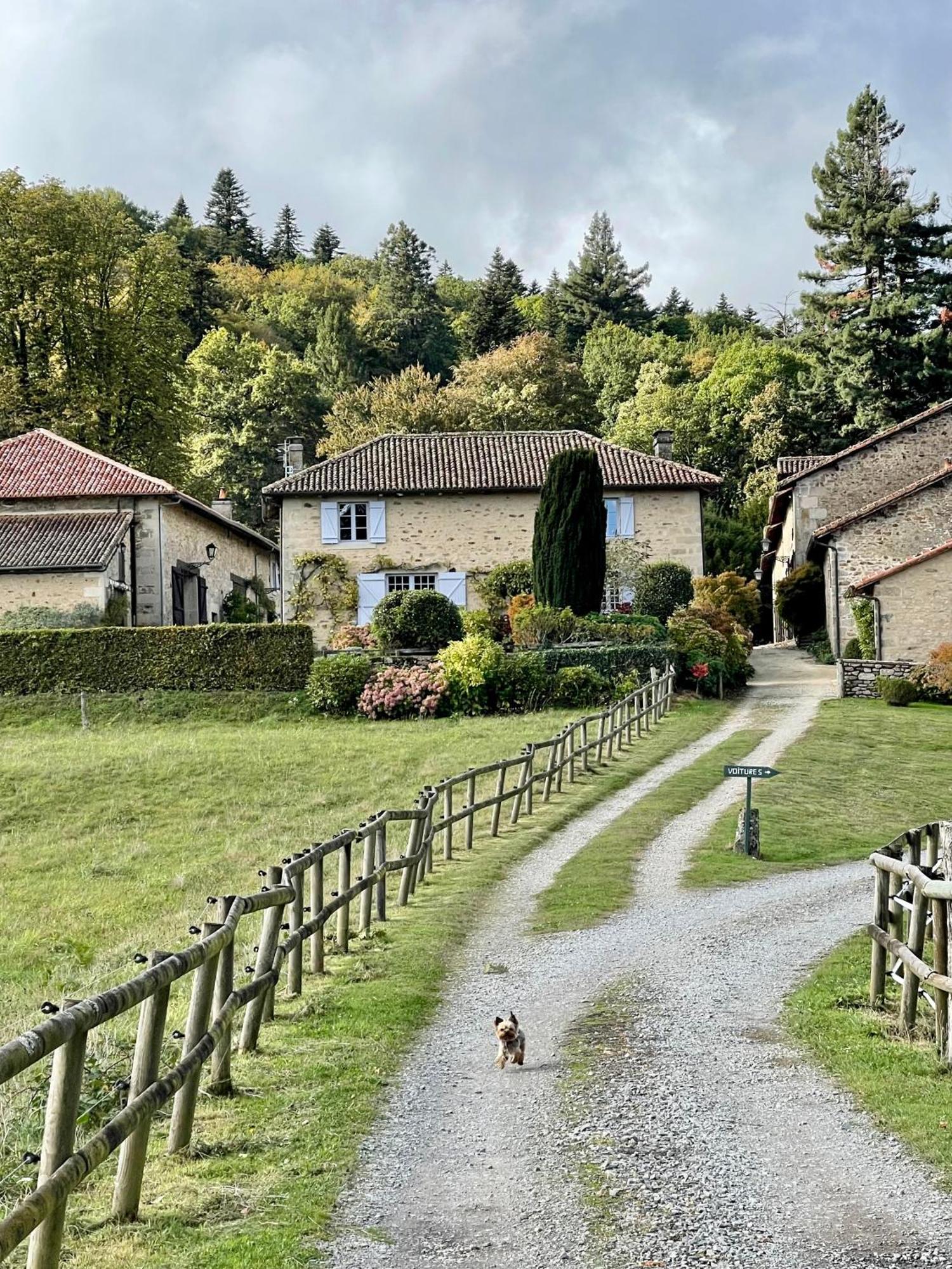 Domaine De Montmery Sa Piscine Son Jardin Ses Espaces Ambazac Bagian luar foto